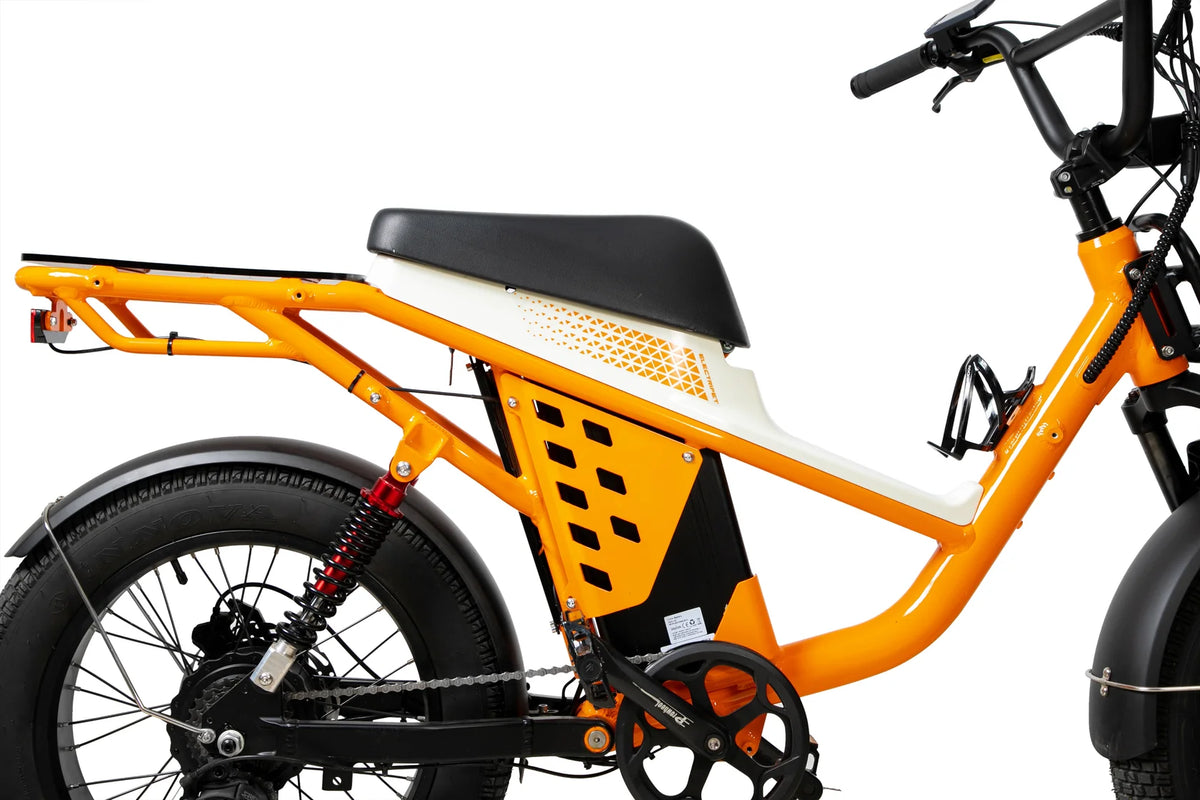 1500W Outdoor Utility E-Bike for outdoor Advanture