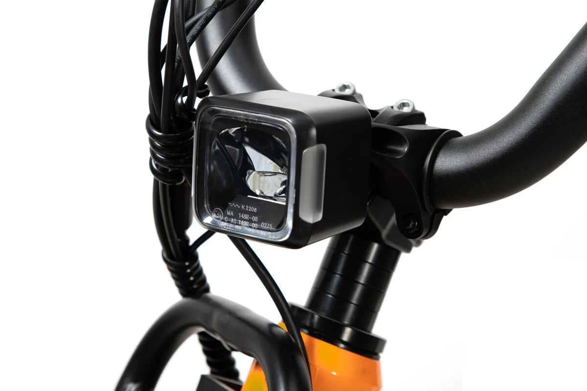 1500W Outdoor Utility E-Bike for outdoor Advanture