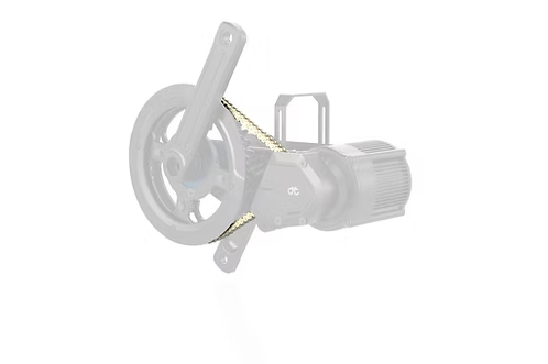 219H Golden Motor Chain