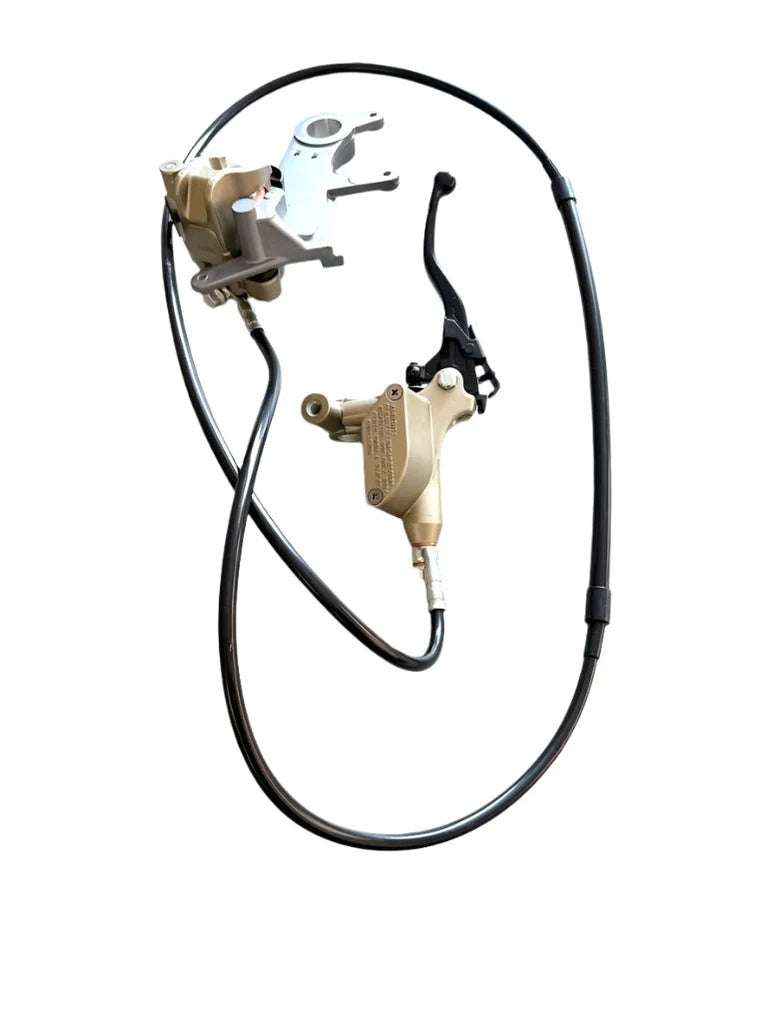 Storm Bee Complete Rear Brake Assembly