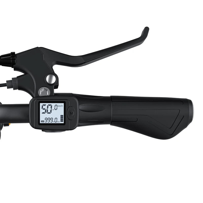 DISPLAY FOR COSWHEEL EBIKE