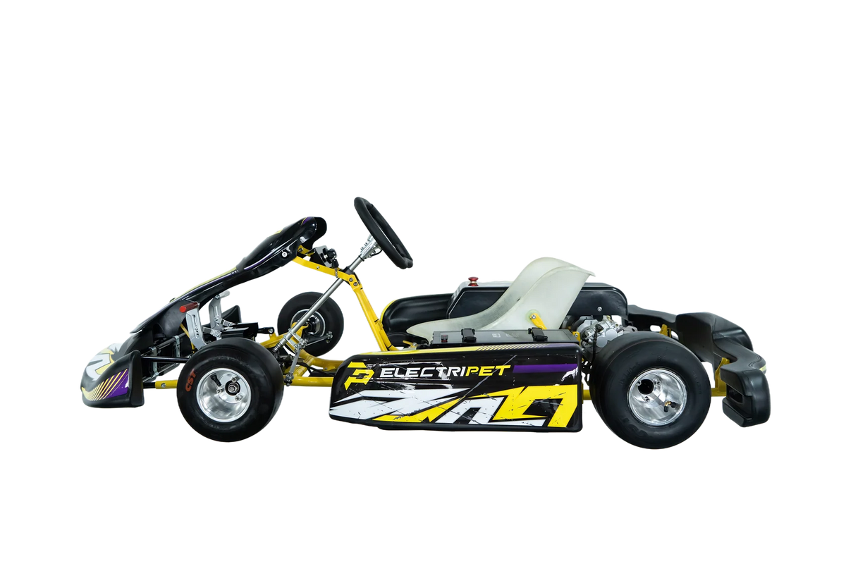 Electripet F1-SE Electric Racing Kart | 72V 12 kW Peak