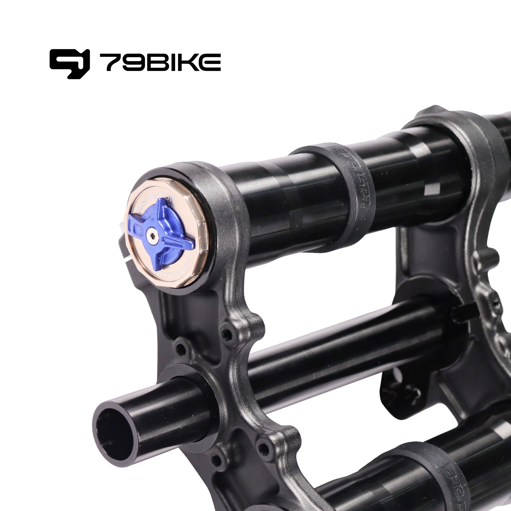 79Bike Falcon Pro FastAce ALX33RC 2.0 Fork (for Replacement)