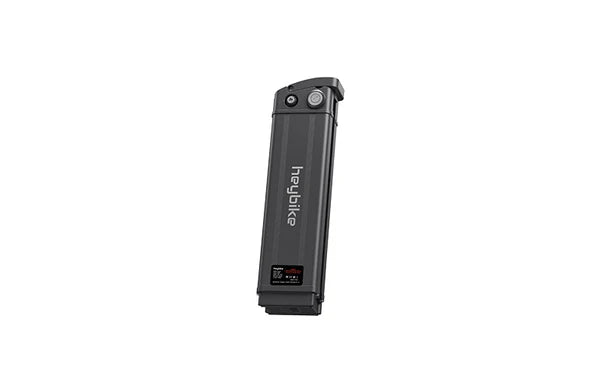 Ranger Spare Battery