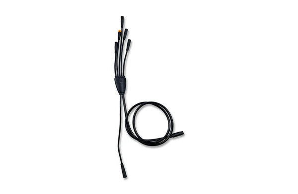 Main Cable