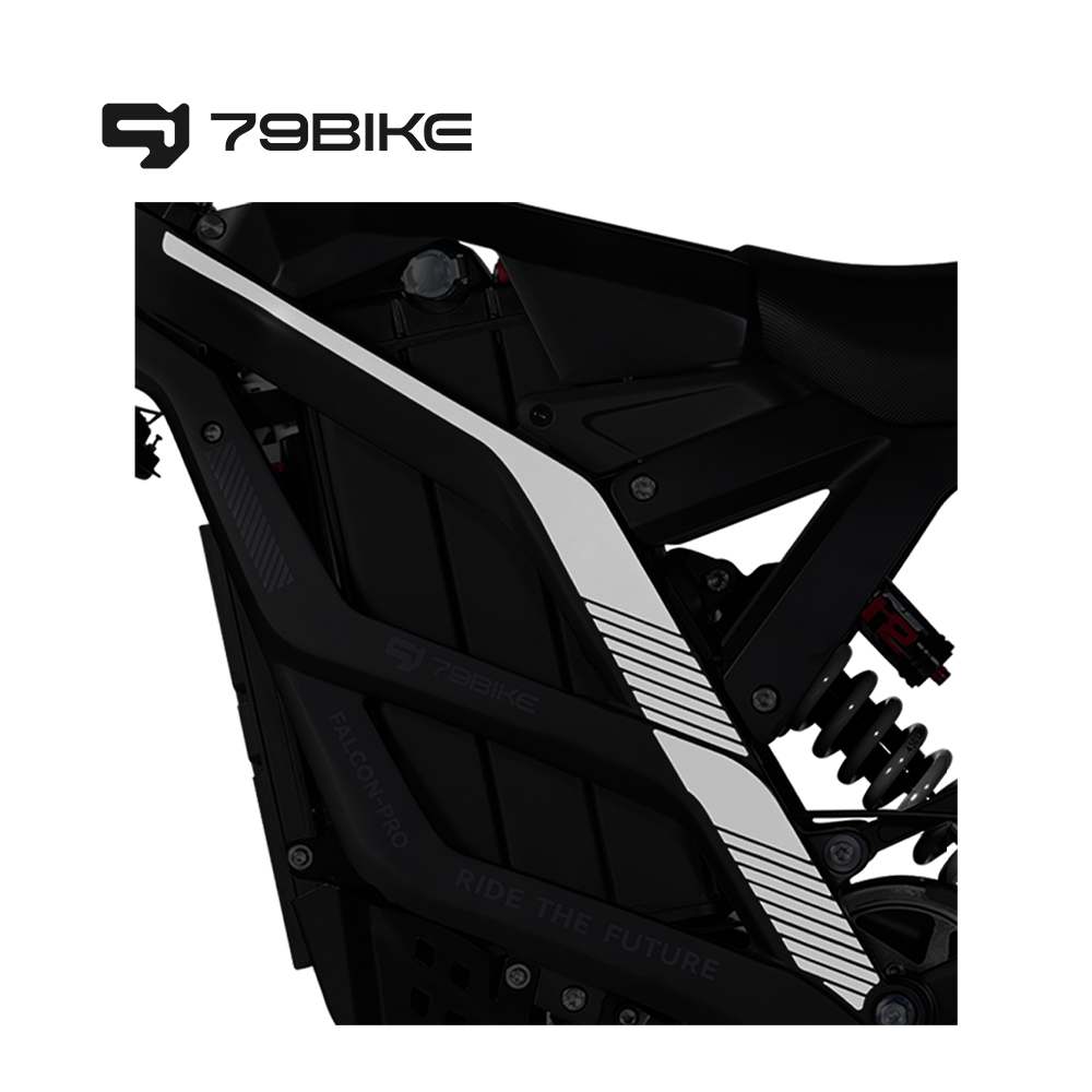 79Bike Stickers for Falcon Pro