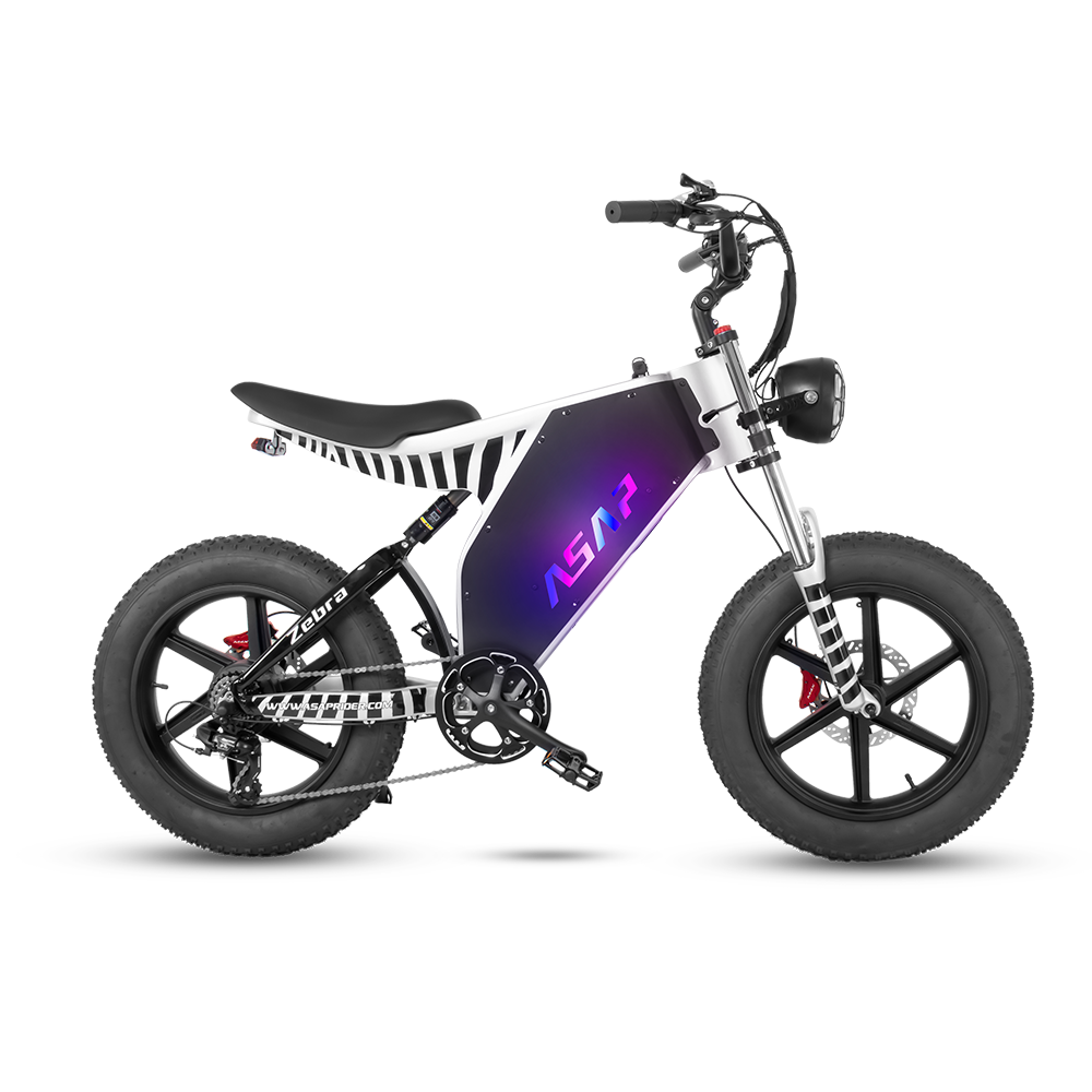 ASAP Zebra 1000W Fat Tire E-Bike