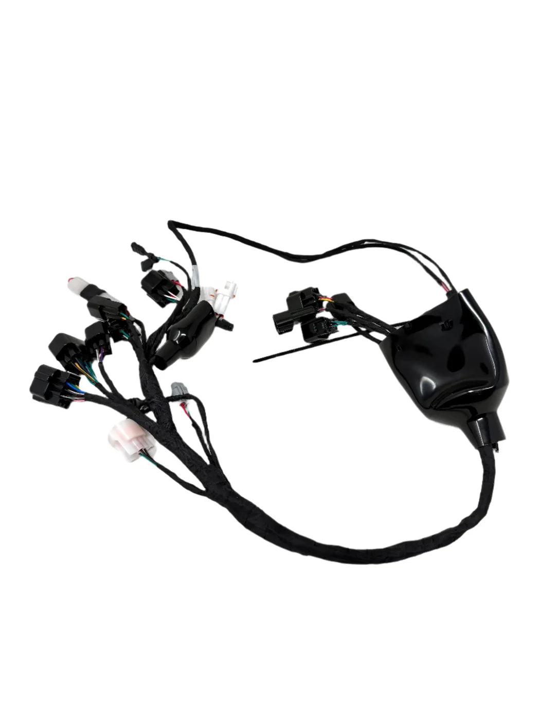 Light Bee Wiring Harness (2025 Only)