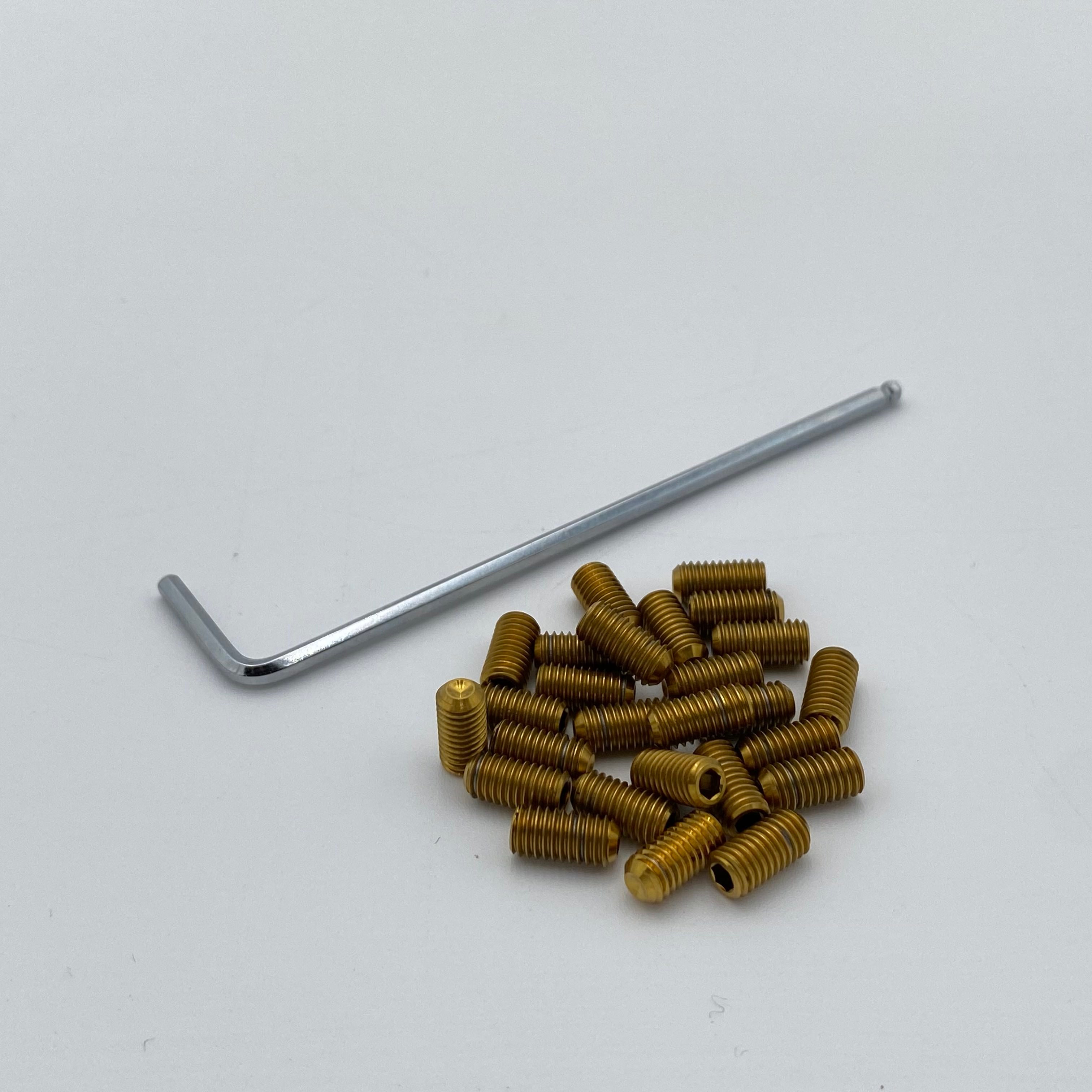 Titanium Elite Foot Peg Screws
