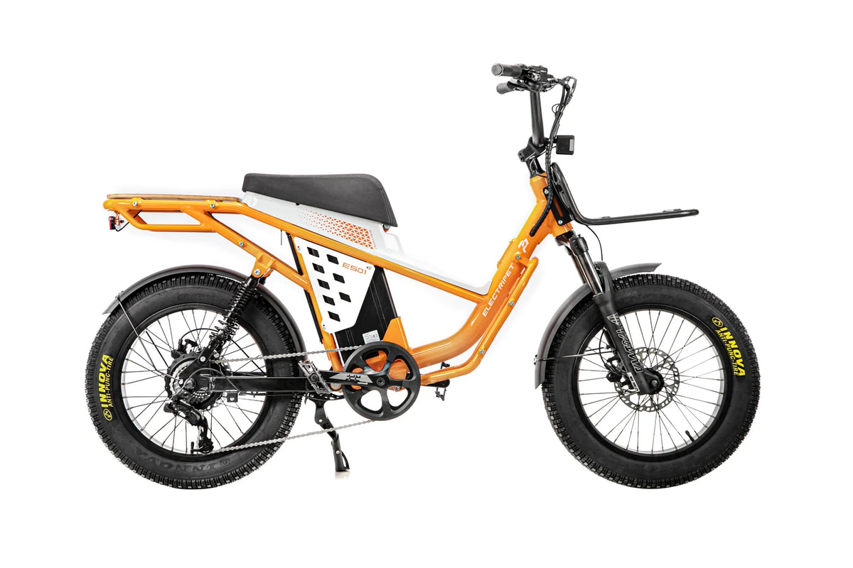 1500W Outdoor Utility E-Bike for outdoor Advanture