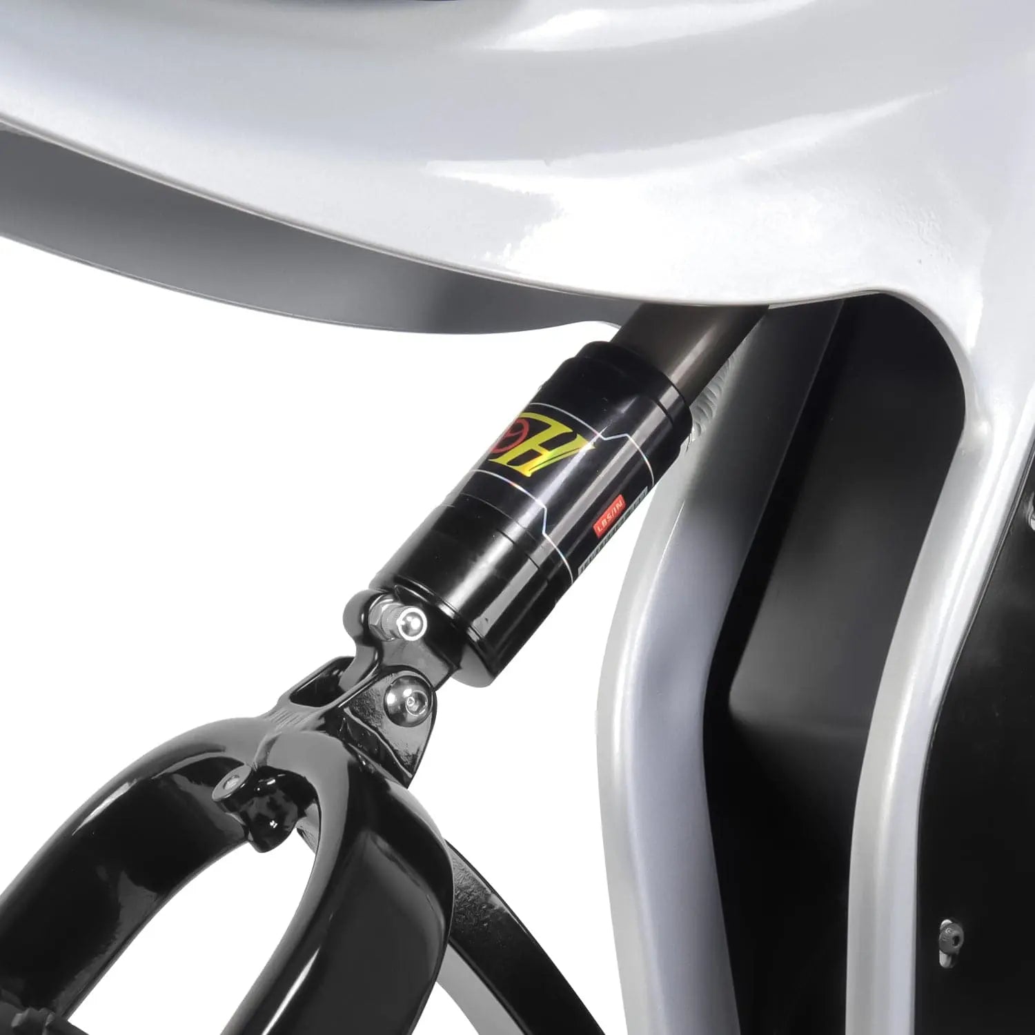 ASAP Zebra 1000W Fat Tire E-Bike