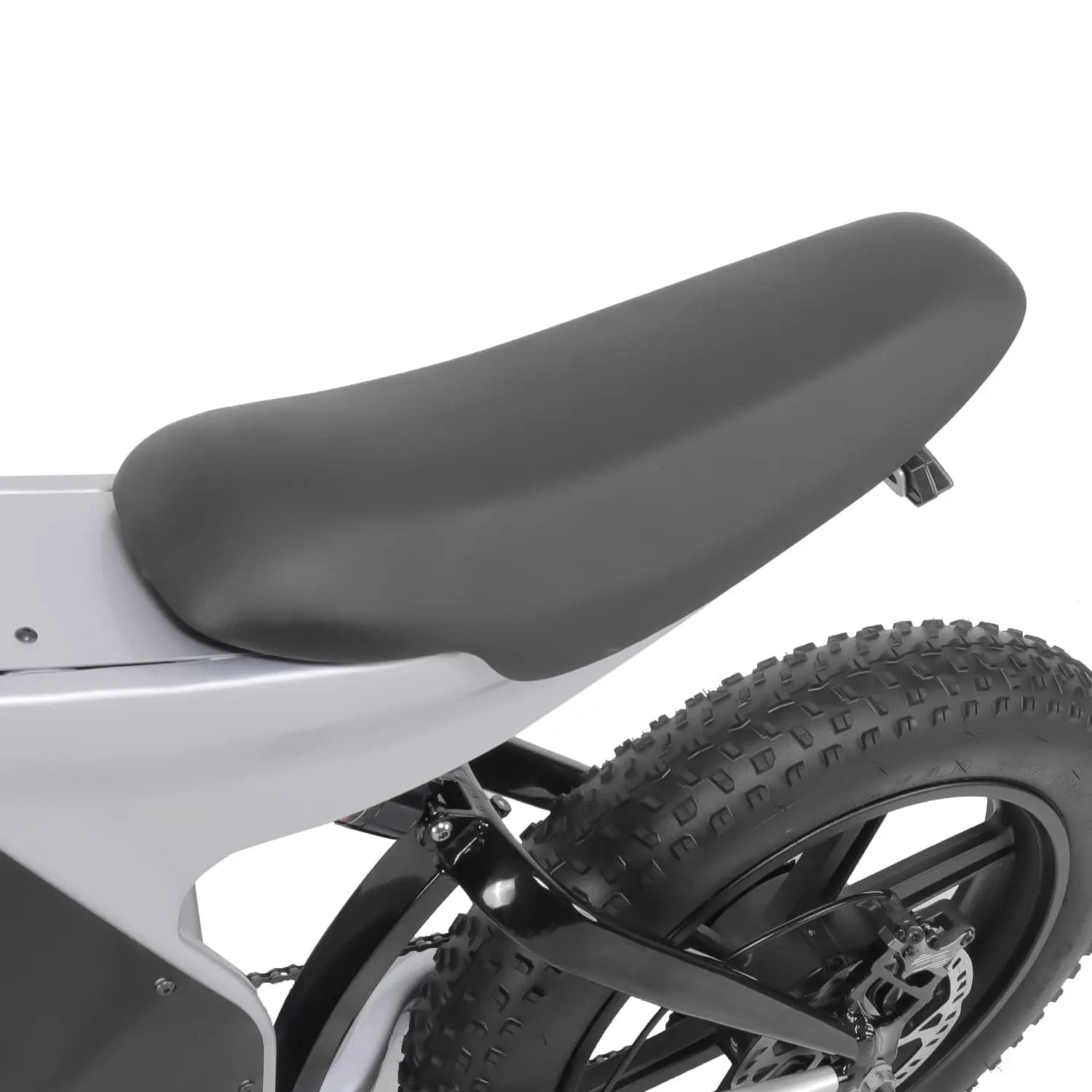 ASAP Zebra 1000W Fat Tire E-Bike