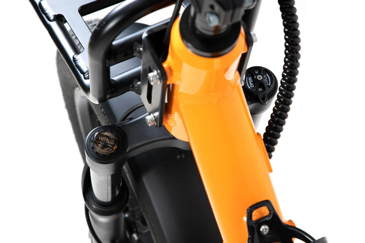 20*4 Fat Tire electric bike for Camping and Outdoor Adventure