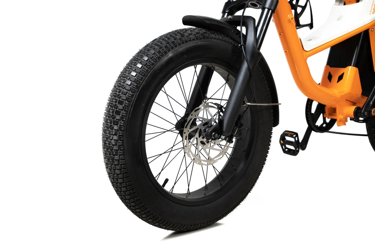 48V 50Ah battery Long Range Fat Tire Camping E-Bike