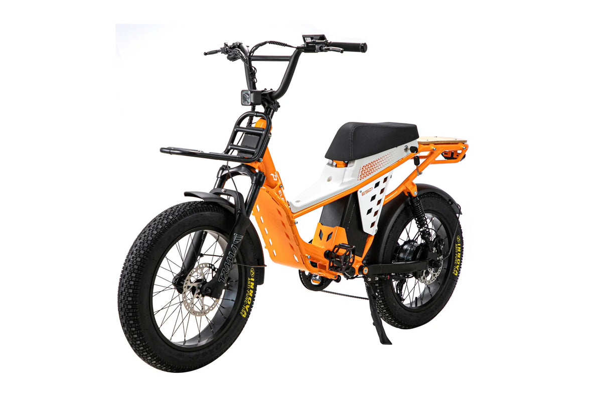 180 miles Long Range Fat Tire Camping E-Bike electric bike
