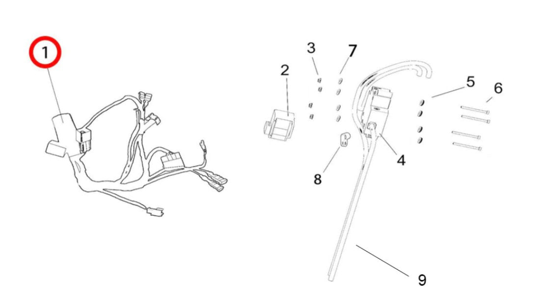 Light Bee Wiring Harness - Surron Canada