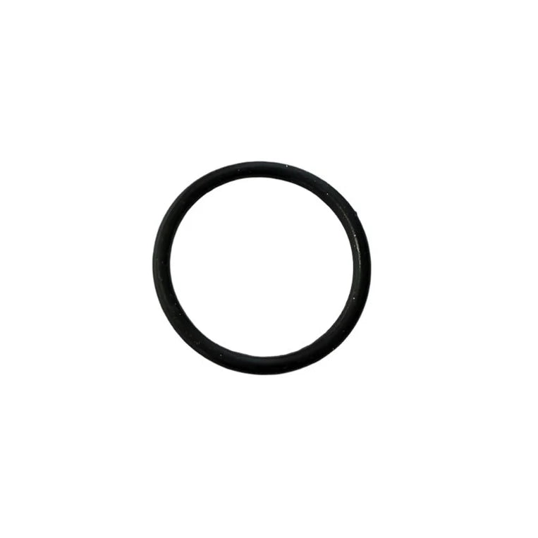 Storm Bee Swingarm O-Ring