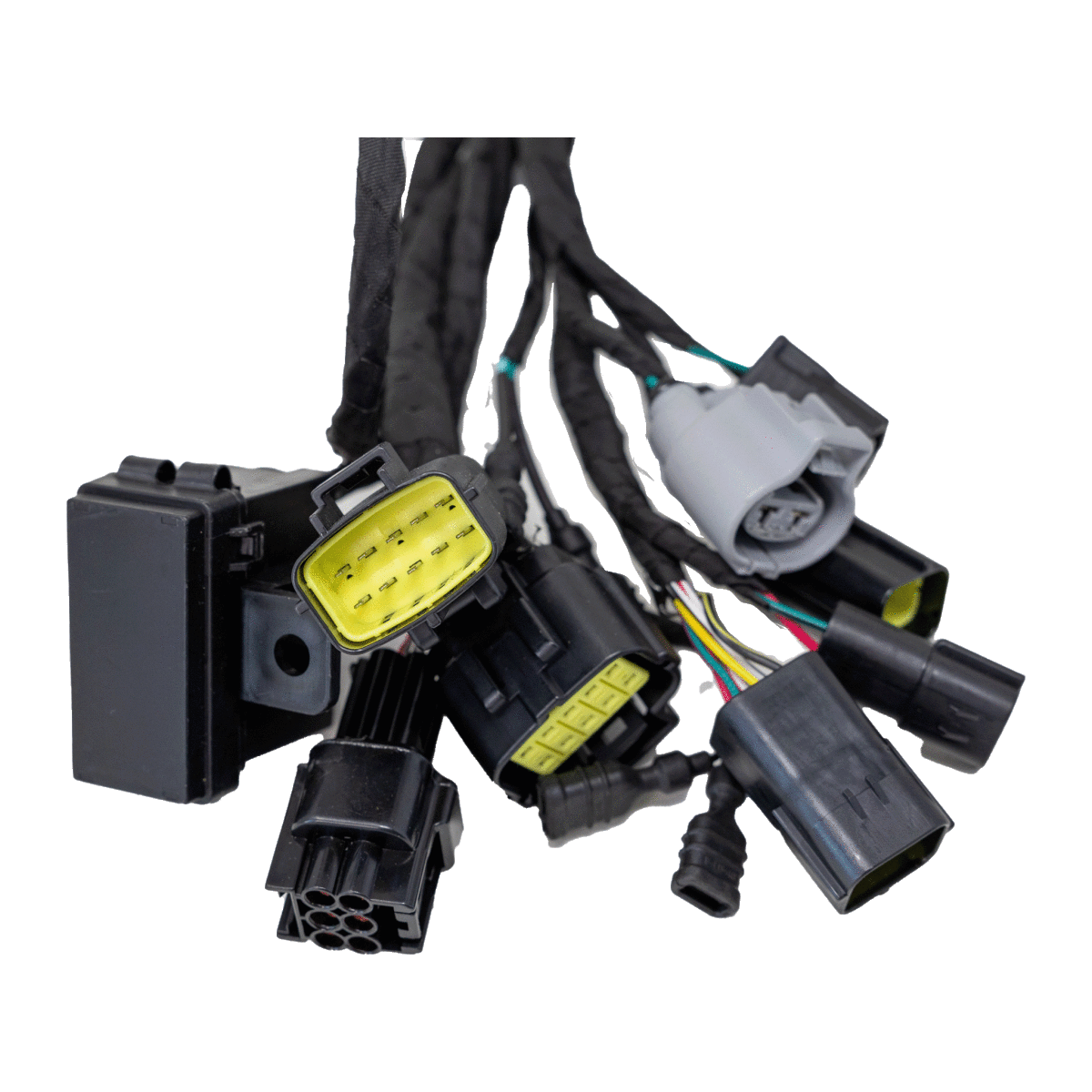 Ultra Bee Main Wire Harness - Surron Canada